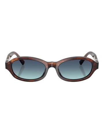 Spotted Brown Havana colour