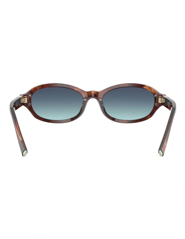 Tiffany & Co.  Acetate Sunglasses in Brown image 2