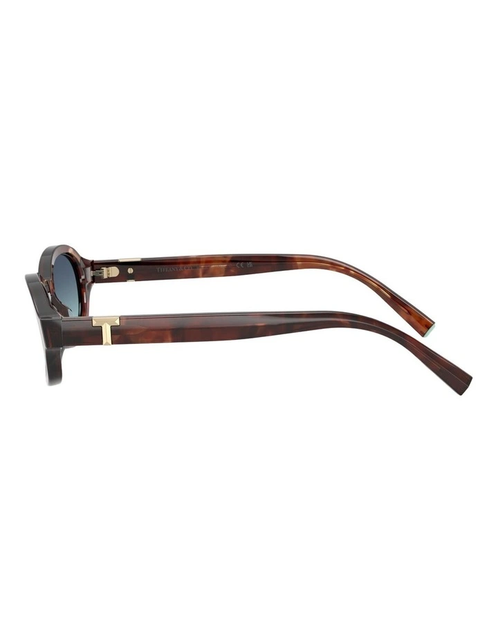 Tiffany & Co.  Acetate Sunglasses in Brown image 3