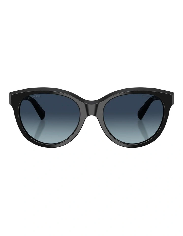 Tiffany & Co. Acetate Polarised Sunglasses in Black image 1