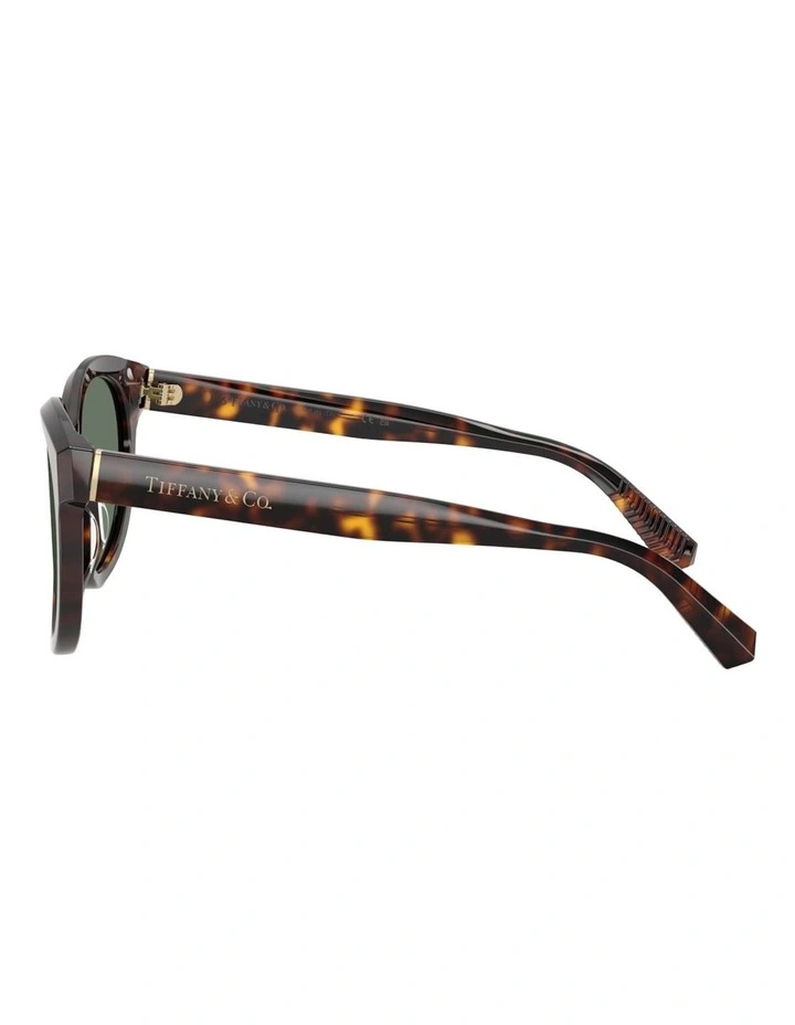 Tiffany & Co. Acetate Sunglasses in Tortoise image 2