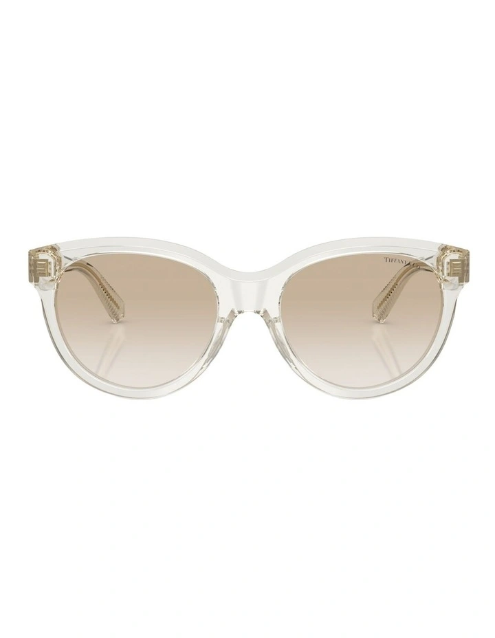 Tiffany & Co.  Acetate Sunglasses in Brown image 1