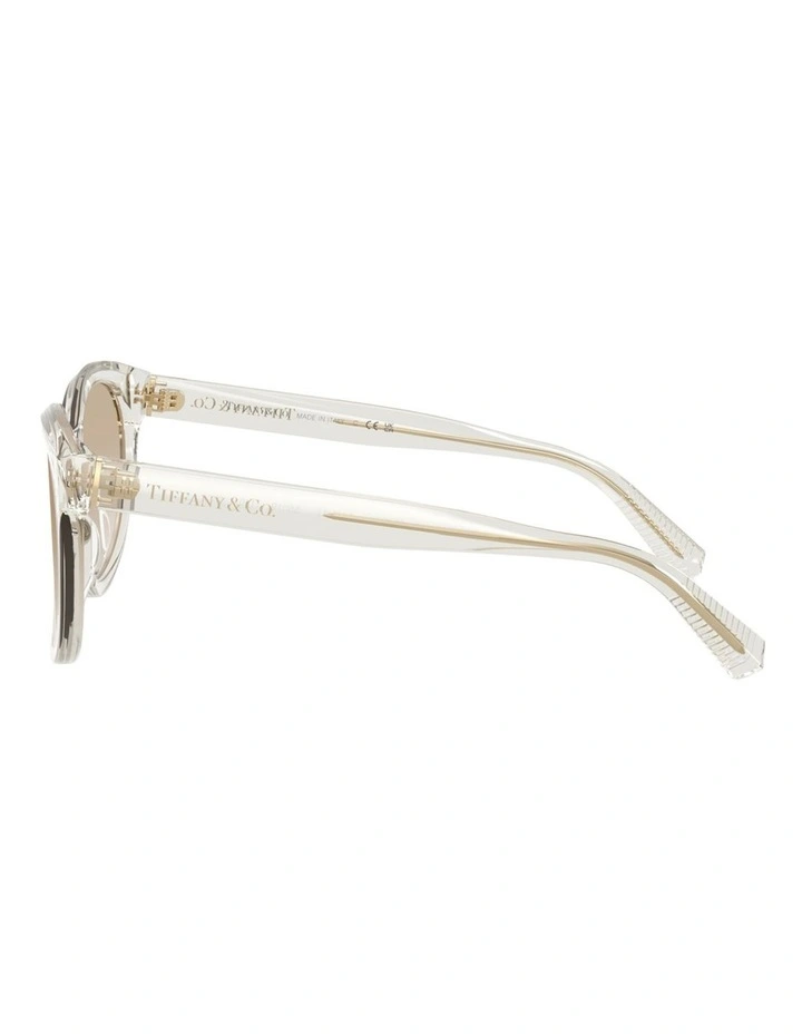 Tiffany & Co.  Acetate Sunglasses in Brown image 3