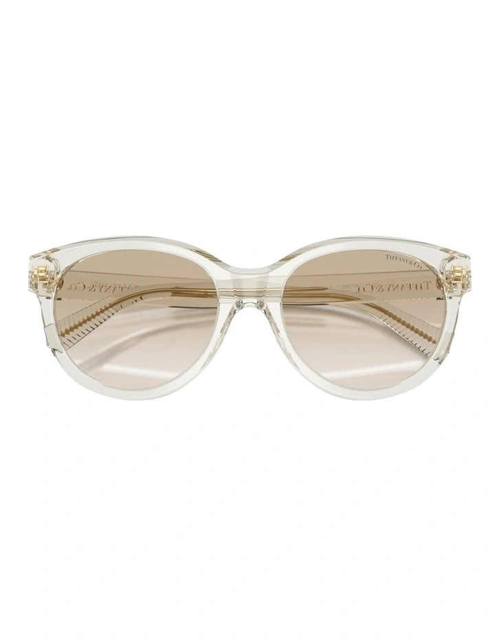Tiffany & Co.  Acetate Sunglasses in Brown image 4