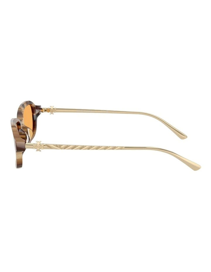 Tory Burch  Acetate Sunglasses in Brown image 3