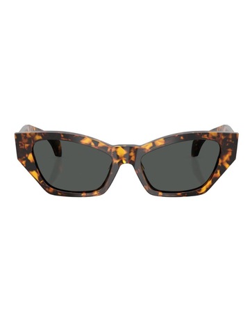 Havana Tortoise colour