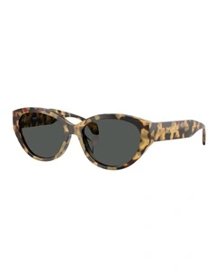 Versace  Acetate Sunglasses in Tortoise