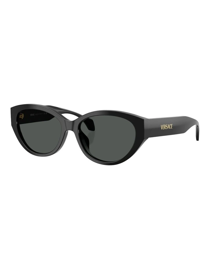 Versace  Acetate Sunglasses in Black image 1