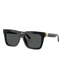 Versace  Acetate Sunglasses in Black