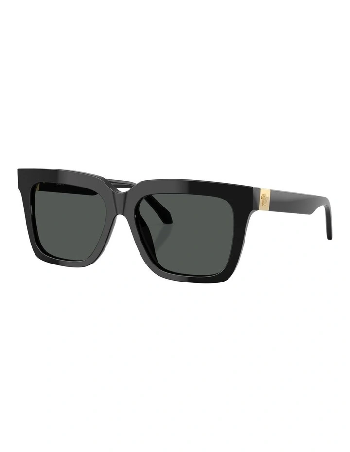 Versace Acetate Sunglasses in Black image 1