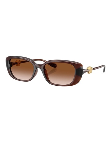 Transparent Brown colour