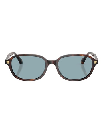 Brown Havana colour