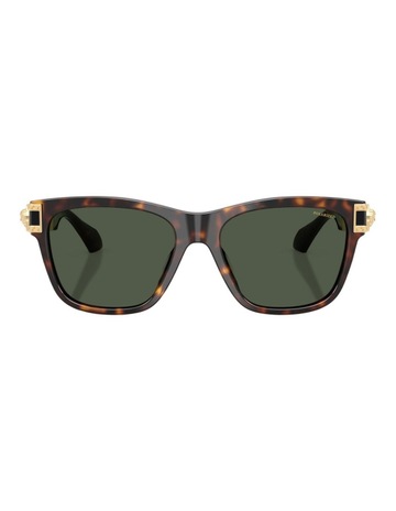Dark Havana colour