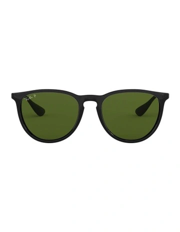 Erika Black RB4171 Polarised Sunglasses
