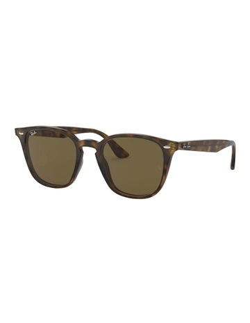 RB4258 Brown Sunglasses