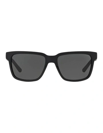 AX4026S Brown Sunglasses