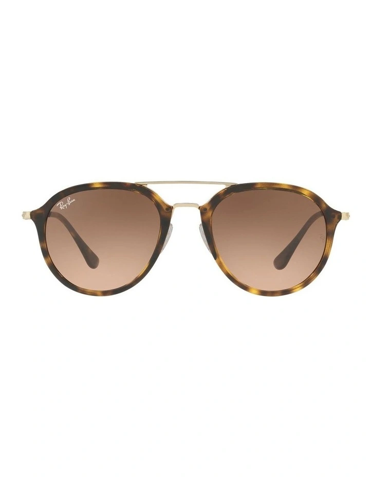 RB4253 Brown Sunglasses image 1