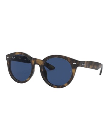 ray ban rb4261d