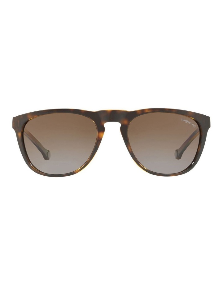 round sunglasses sunglass hut