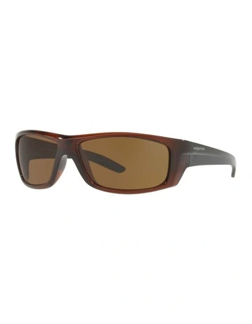 HU2007 Brown Sunglasses