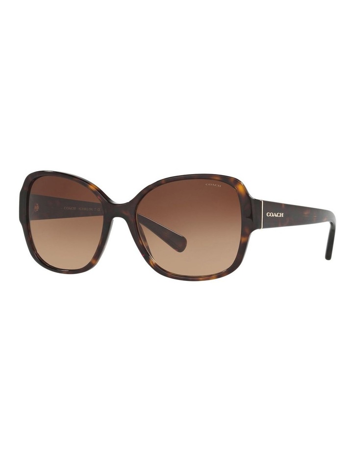 coach sunglasses frames