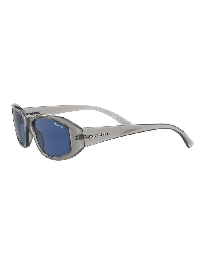 AN4266 LIZARD Grey Sunglasses image 3