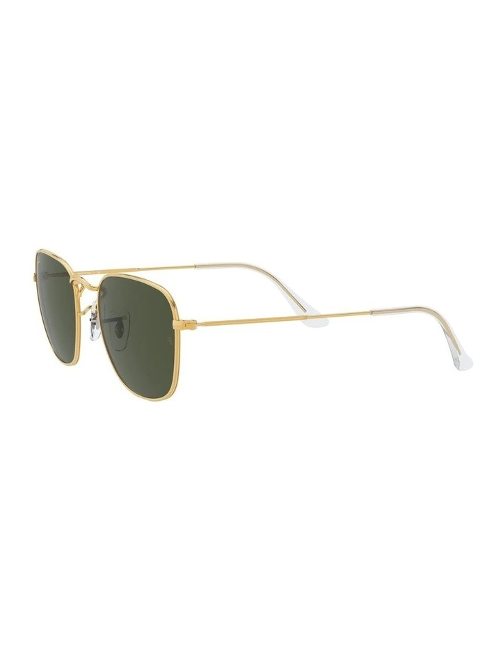 Frank Legend Gold Gold RB3857 Sunglasses image 3