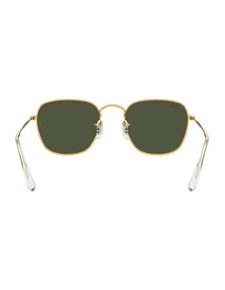Frank Legend Gold Gold RB3857 Sunglasses image 7
