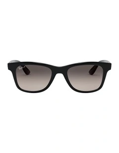 RB4640 Black Polarised Sunglasses