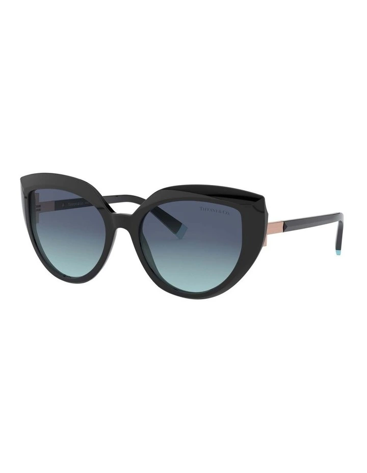 TF4170 Black Sunglasses image 1
