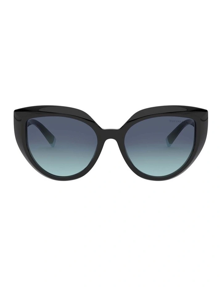 TF4170 Black Sunglasses image 2