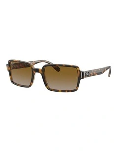 Benji Brown RB2189 Polarised Sunglasses