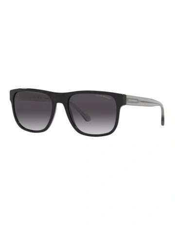 EA4163 Black Sunglasses