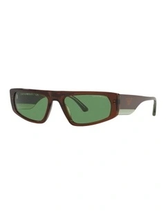 EA4168 Brown Sunglasses