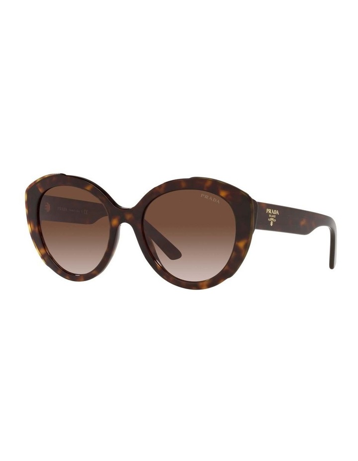 Women's Sunglass Hut | Collection From 
