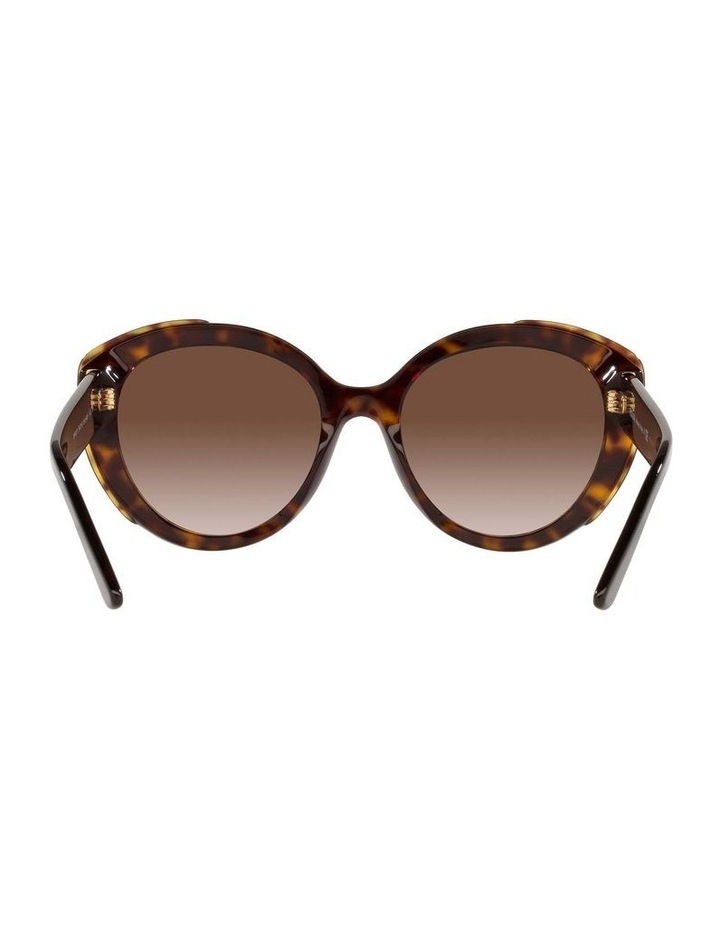 Oval Sunglesses | Shop Womens Oval 