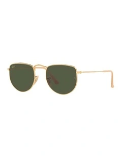 Elon Gold RB3958 Sunglasses