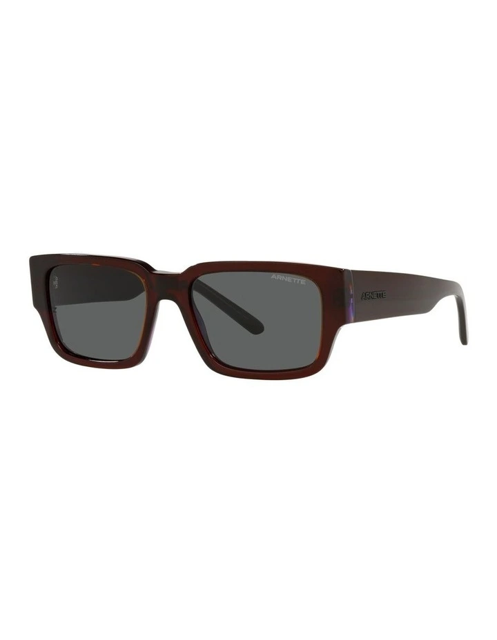 AN4296 Daken Sunglasses image 1