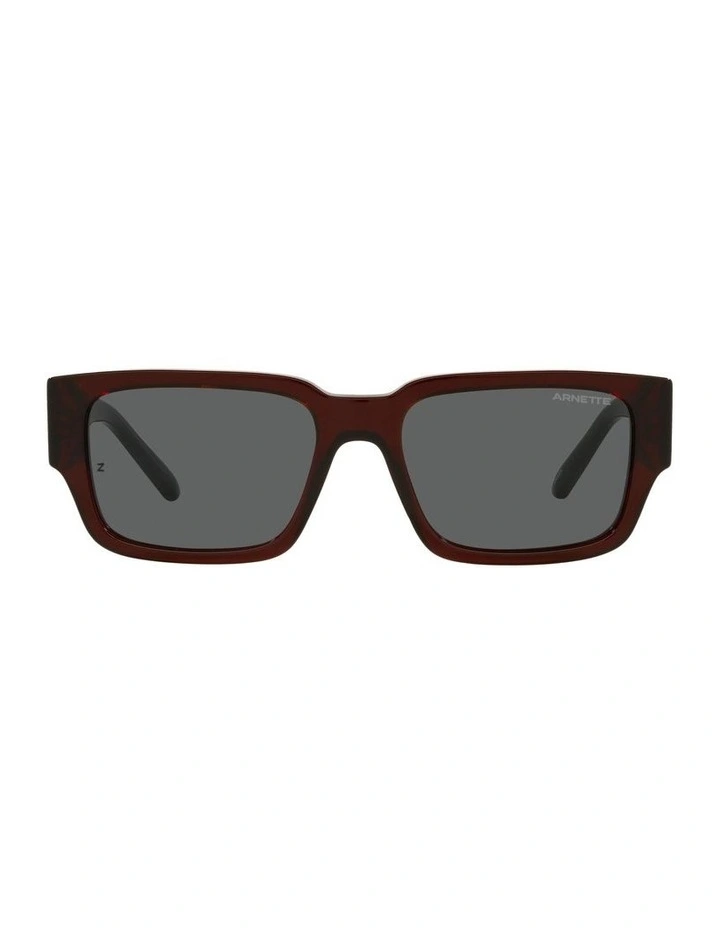 AN4296 Daken Sunglasses image 2