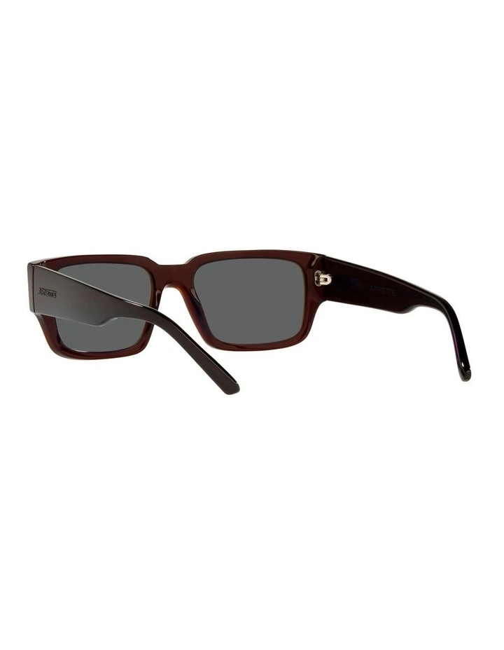 AN4296 Daken Sunglasses image 6
