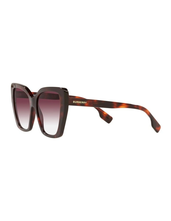 BE4366 Tamsin Multicolor Sunglasses image 3