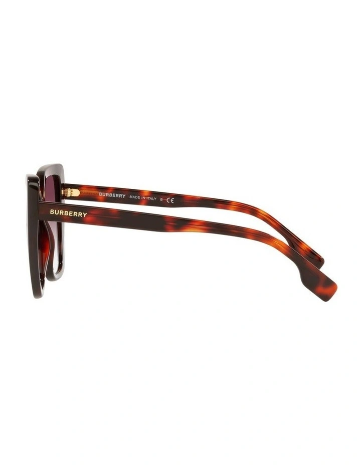BE4366 Tamsin Multicolor Sunglasses image 4