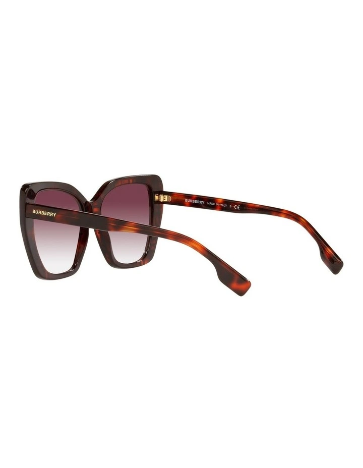 BE4366 Tamsin Multicolor Sunglasses image 5