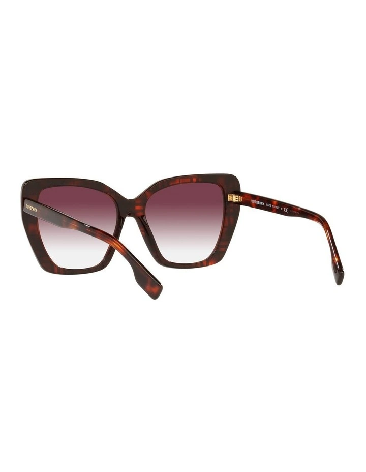 BE4366 Tamsin Multicolor Sunglasses image 6