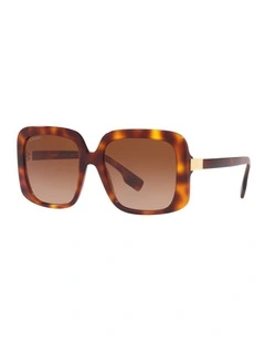 BE4363 Penelope Tortoise Sunglasses