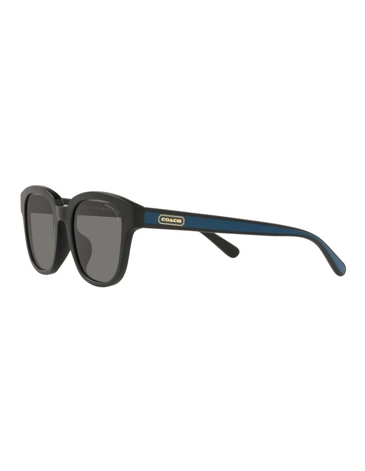 HC8340U C8003 Black Polarised Sunglasses image 3