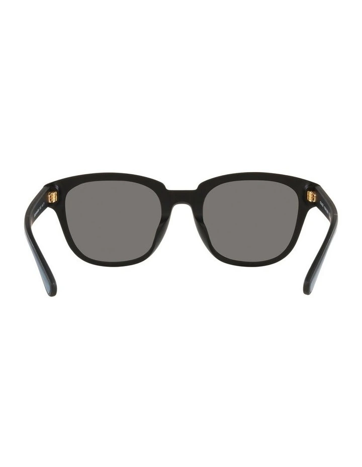 HC8340U C8003 Black Polarised Sunglasses image 7