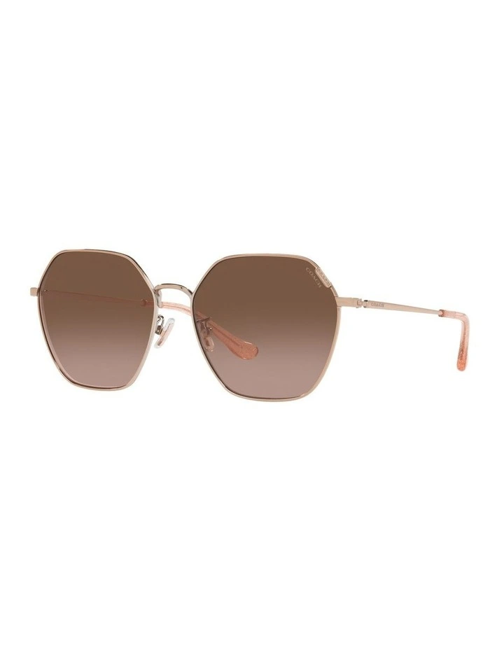 HC7132 C7998 Gold Sunglasses image 1