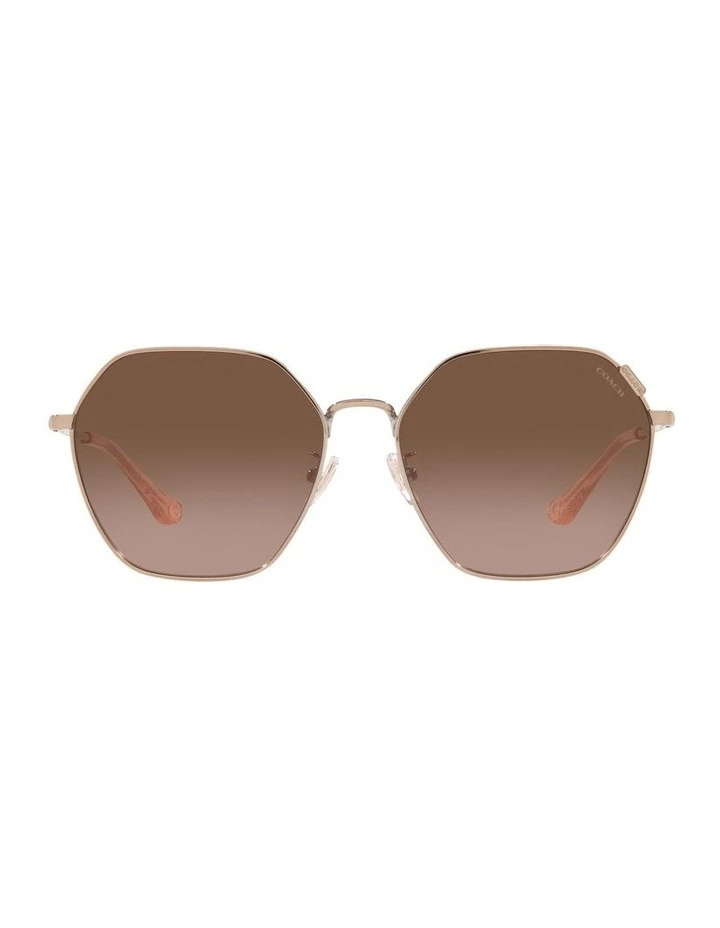 HC7132 C7998 Gold Sunglasses image 2