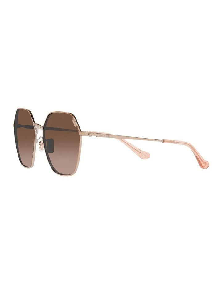 HC7132 C7998 Gold Sunglasses image 3